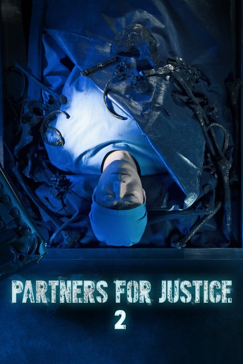 Partners for Justice 2