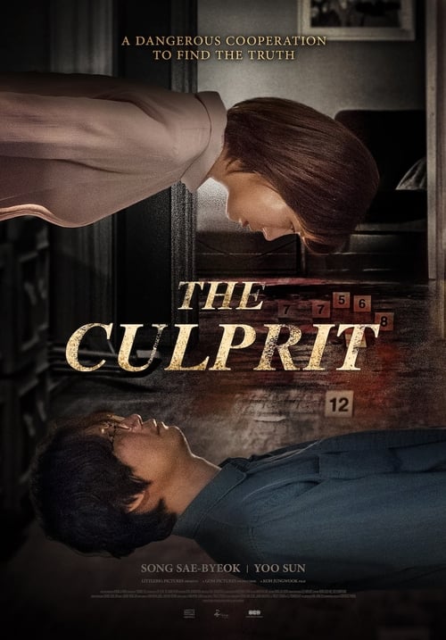 The Culprit (2019)